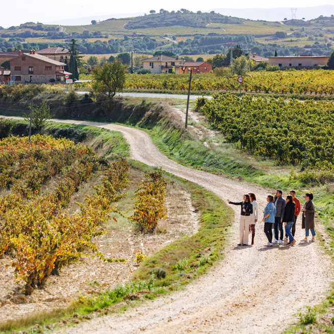 Meet our Villages